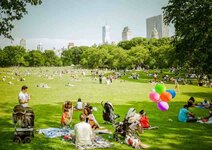 picnic-in-central-park-CC-Flickr-ep_jhu-850px.jpg