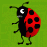 ladybug